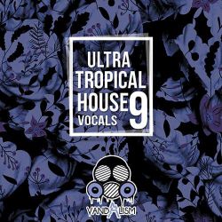 Dj周锋-国粤语FunkyHouse音乐忘情森巴舞一言难尽咚鼓串烧
